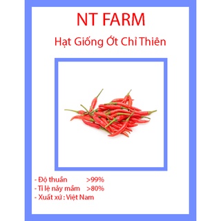 Hạt Giống Ớt Chỉ Thiên Siêu Cay DDXL