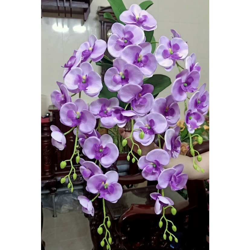 Giò Phong Lan giả, Phong Lan Vải, Lụa Cao Cấp Size To