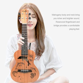 Đàn Ukulele Concert Dolphin