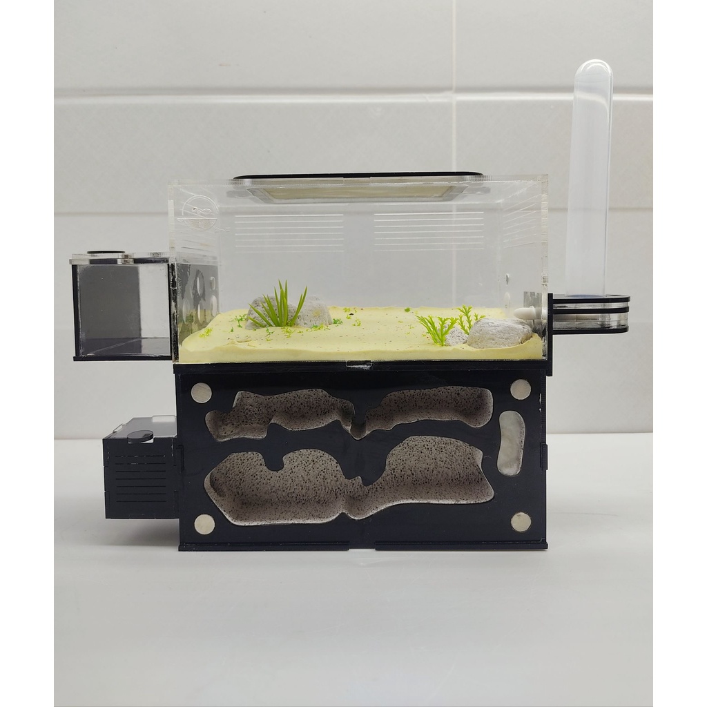 Hộp nuôi kiến - D02 - Ant farm - Formicarium - Hộp nuôi kiến - Chuồng nuôi kiến - Tank kiến - Nhà cho kiến