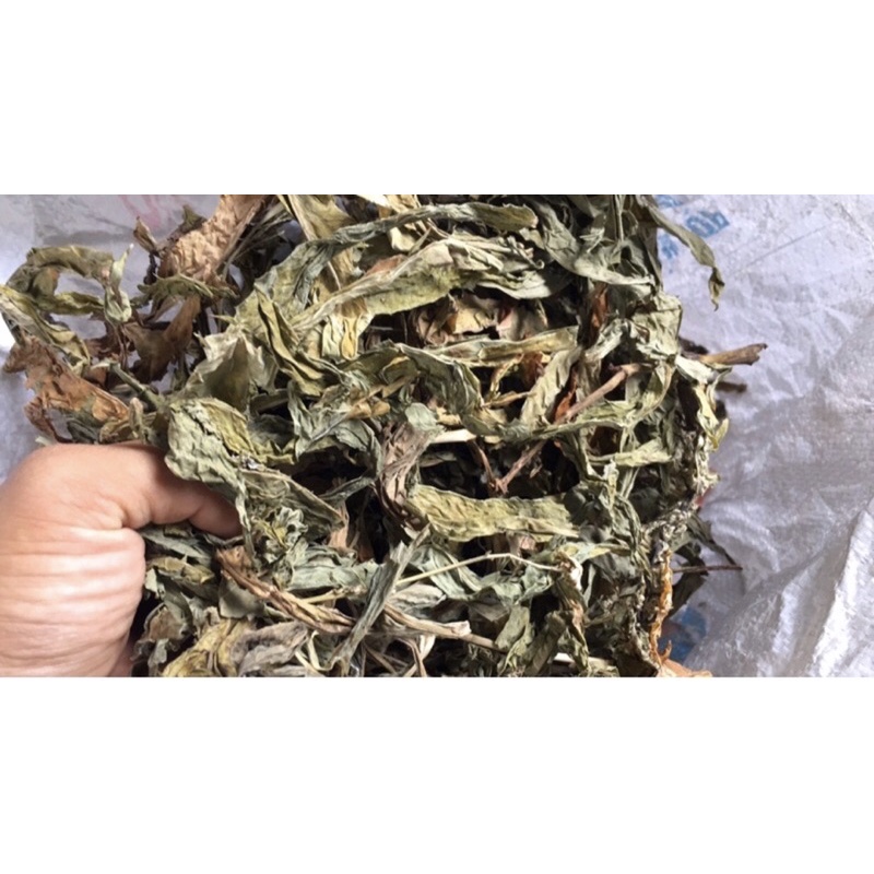 1Kg Cây Bồ công anh khô thơm mới