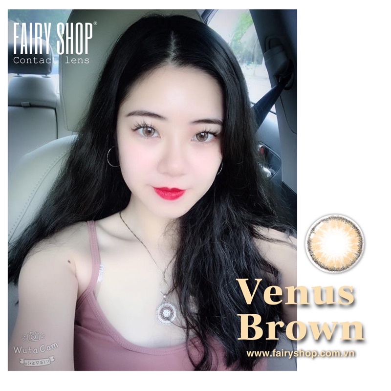 Lens 1 Ngày Venus Brown - Kính Áp Tròng Cao Cấp 1 Ngày FAIRY SHOP CONTACT LENS