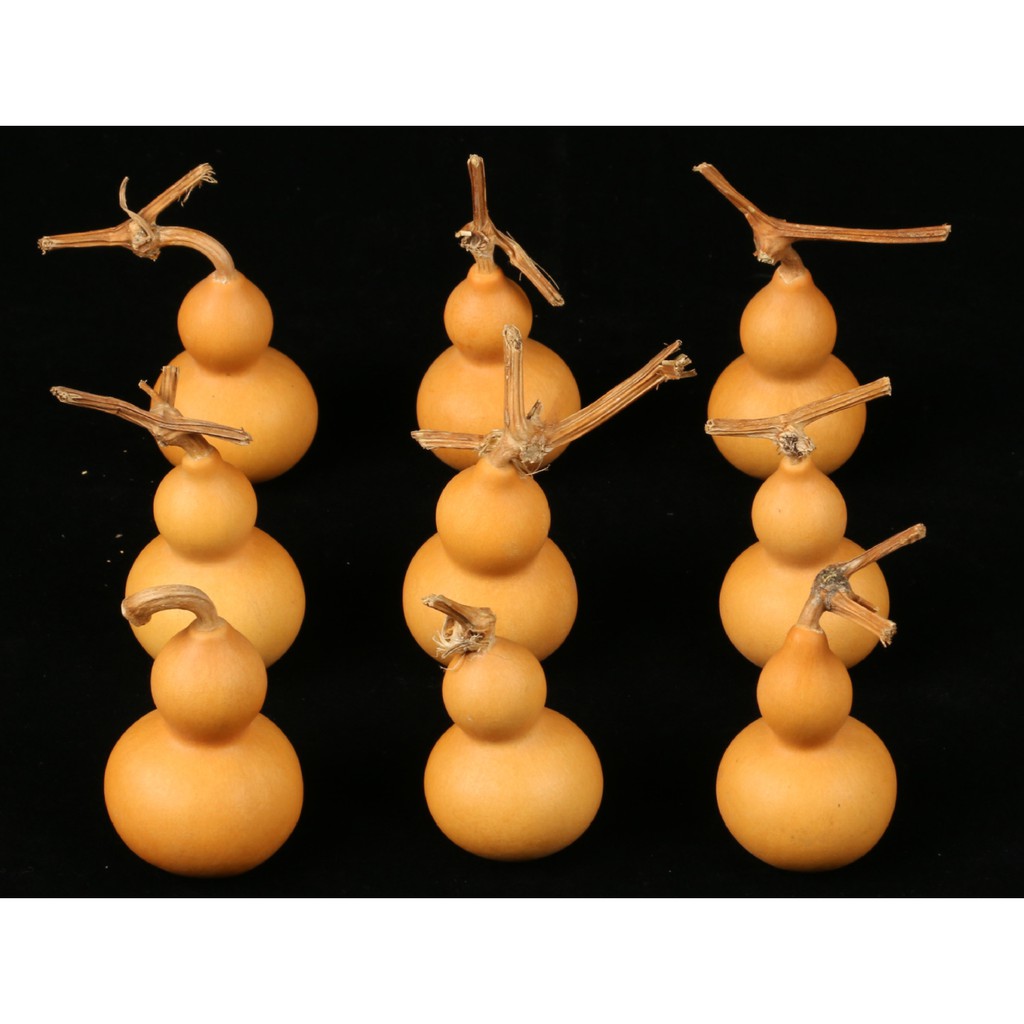 Hồ lô tự nhiên nguyên cuống bày ban thờ hoặc phòng khách | BigBuy360 - bigbuy360.vn