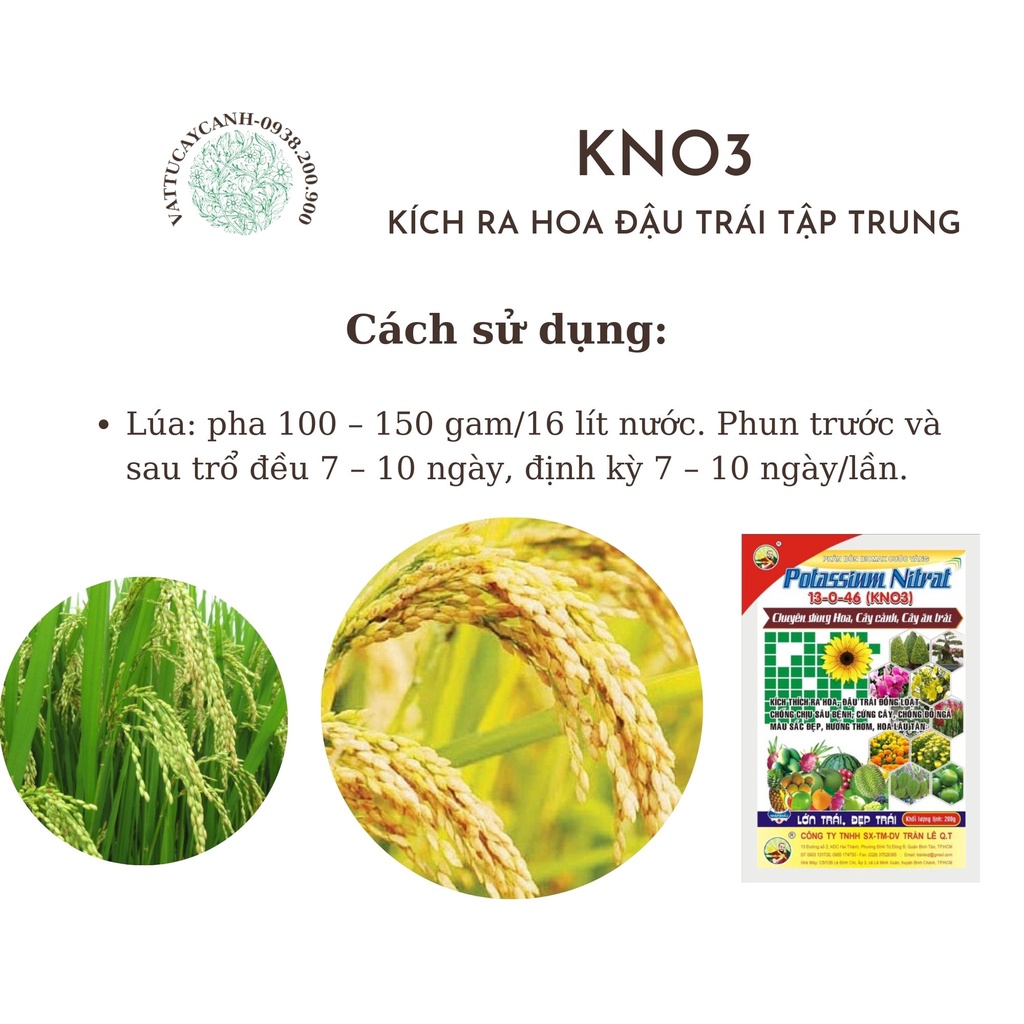 Phân bón TOTT'S FERTILIZER KÍCH HOA KÍCH TRÁI 13-0-46 KNO3 200gr