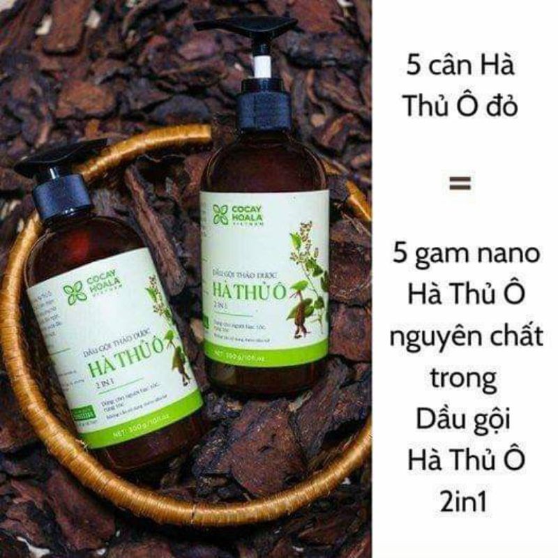 Dầu gội hà thủ Ô cỏ cây hoa lá 300ml (HÀNG CHÍNH HÃNG)