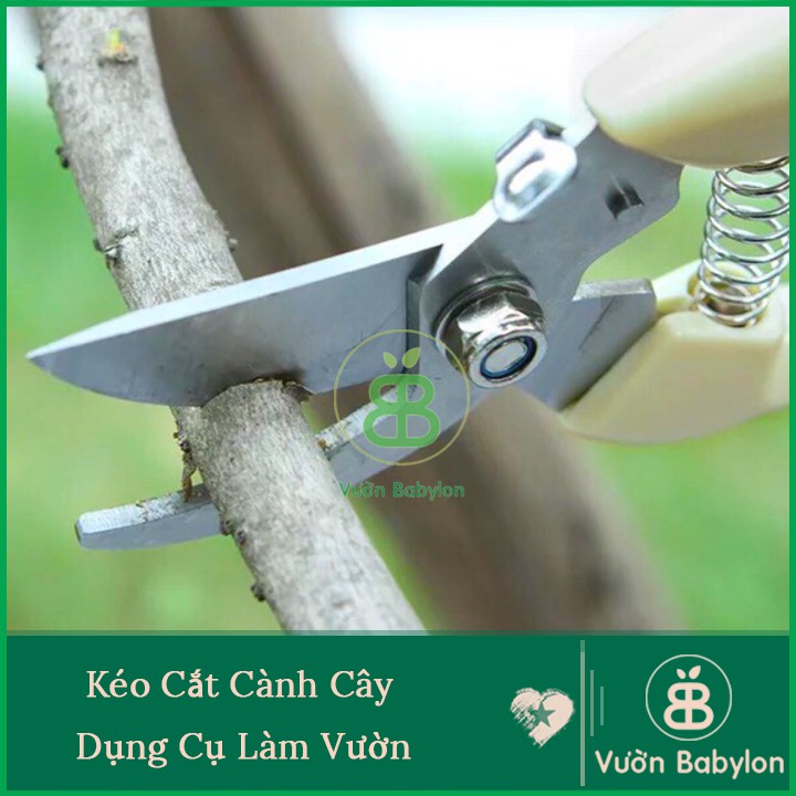 Kéo Cắt Cành, Kéo Tỉa Cây