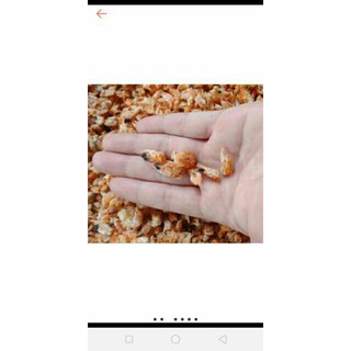 đầu tôm khô 1kg