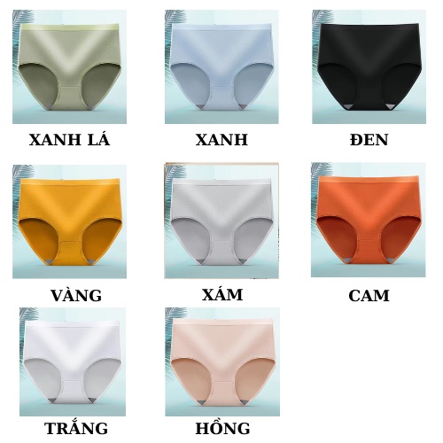 Quần Lót Nữ Cao Cấp - Quần Lót Cotton Thun Co Dãn Chất Dày Dặn AMYBRA LA06