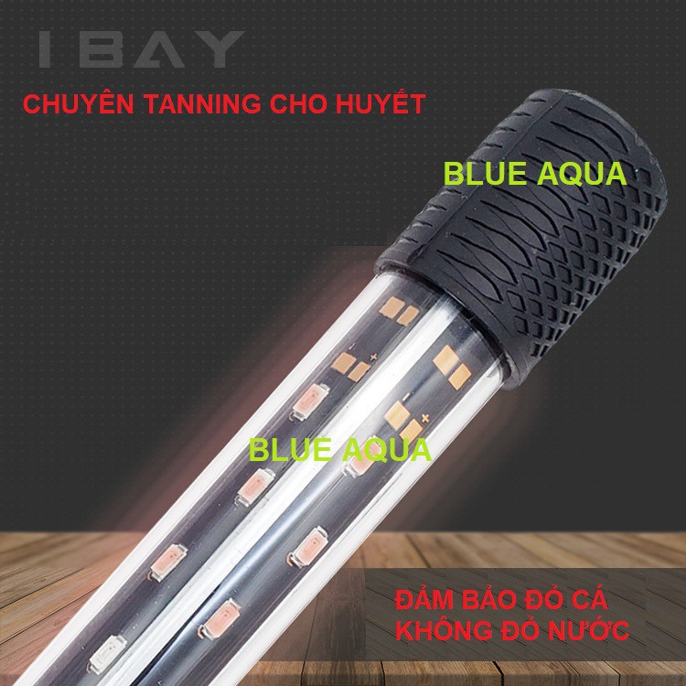 Đèn Led RGB Ibay Chuyên Tanning Cá Rồng