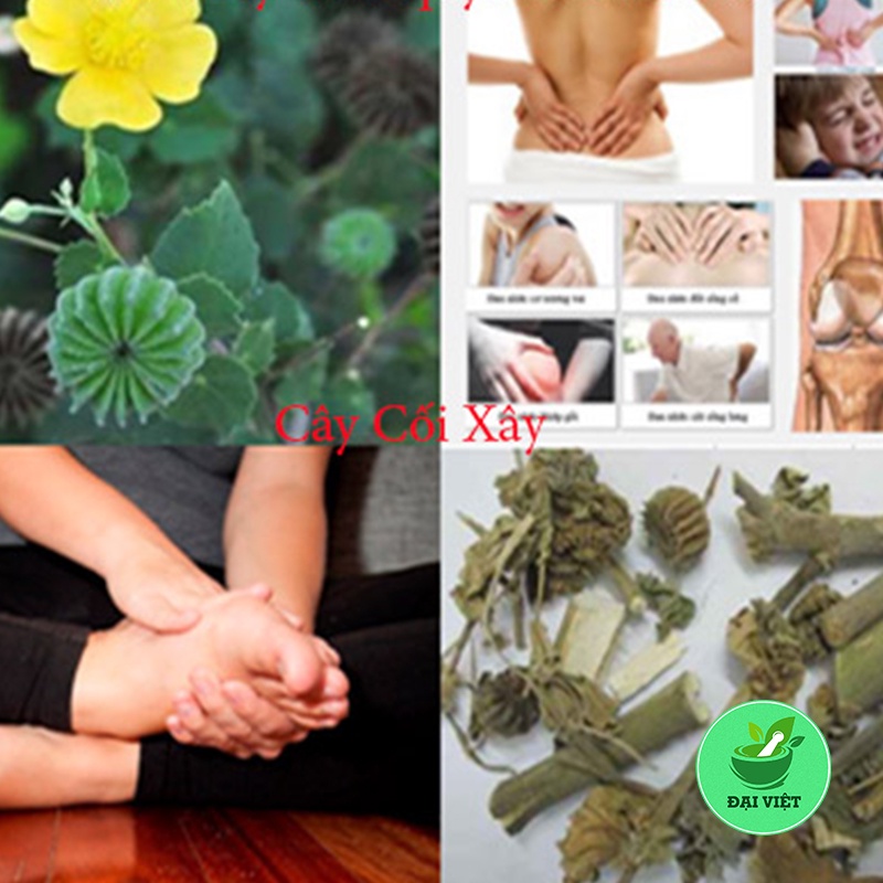 Cây Cối Xay khô [1KG] Hàng sạch đẹp