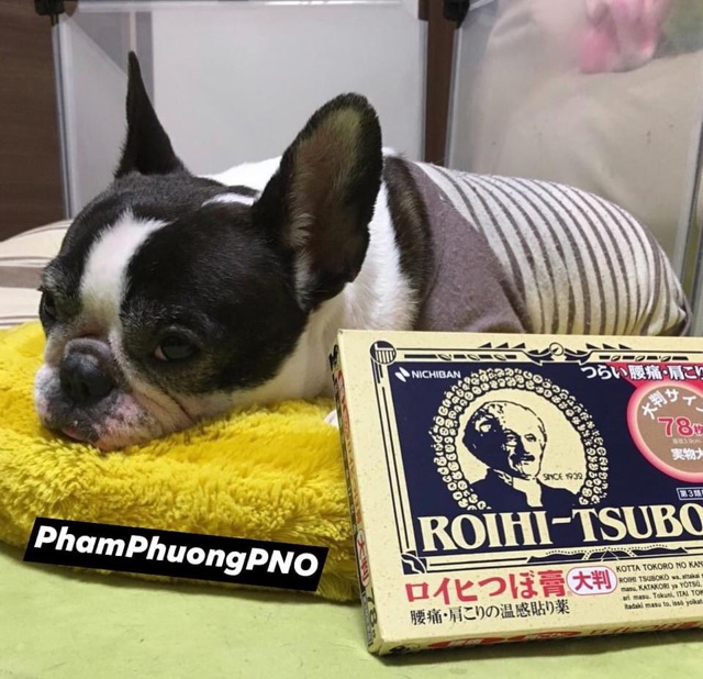 Cao dán nhức mỏi Roihi Tsuboko