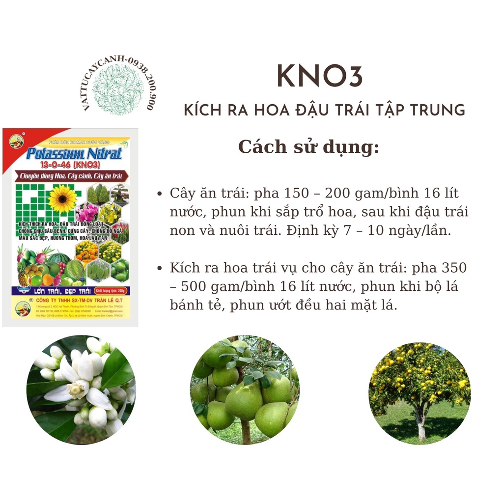 Phân bón TOTT'S FERTILIZER KÍCH HOA KÍCH TRÁI 13-0-46 KNO3 200gr