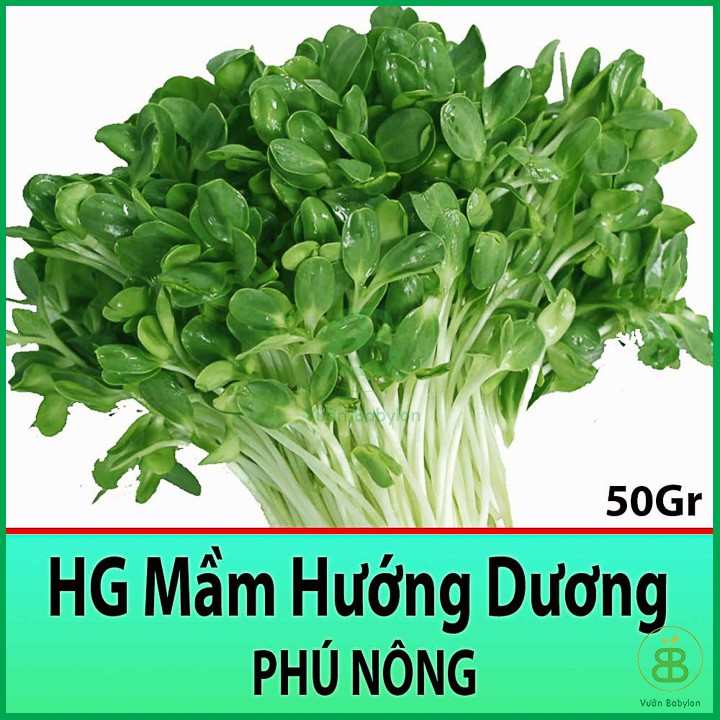 Hạt Giống Mầm Hướng Dương 50Gr Siêu Giòn, Giàu Dinh Dưỡng