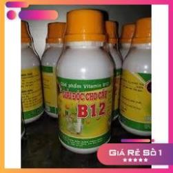 Vitamin B12 cho lan, cây cảnh 100ml Giải độc cây- Tái tạo tế bào mới (cây)
