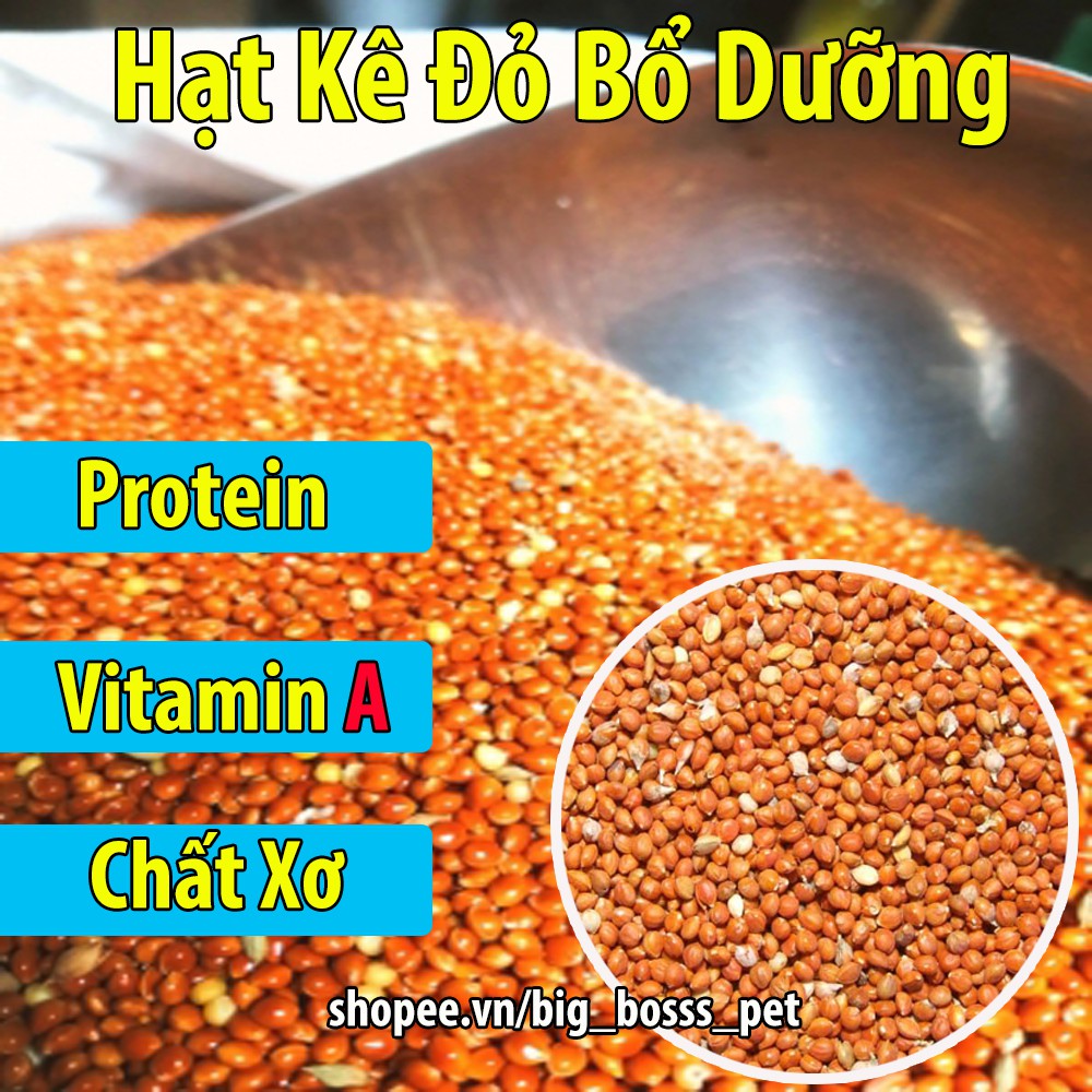 500g Hạt Kê Đỏ Bổ Dưỡng Cho Chim-Vẹt-Gà-Hamster-Rat-Đuôi Mập