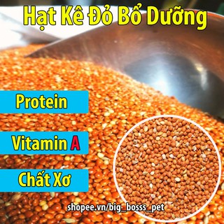 500g Hạt Kê Đỏ Bổ Dưỡng Cho Chim-Vẹt-Gà-Hamster-Rat-Đuôi Mập