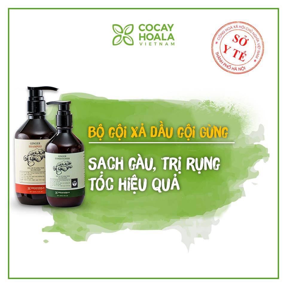 Dầu gội xả gừng Cỏ Cây Hoa Lá - sữa tắm gừng nghệ