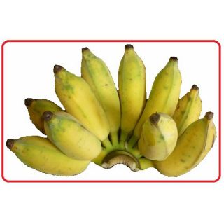 Cây chuối tiêu hồng