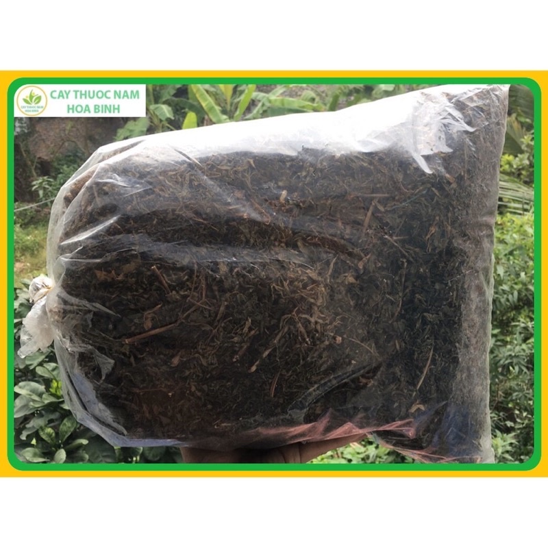 Lá đinh lăng khô 1 kg nguyên chât loại 1