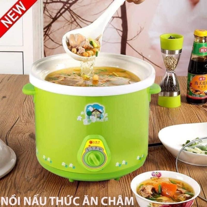 Nồi Nấu Chậm (kho cá, nấu cháo)