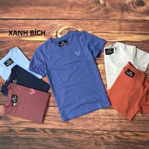 Áo Thun Nam Cổ Tròn Vải Mềm Chất Coton 4 Chiều | BigBuy360 - bigbuy360.vn