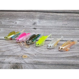 cá giả thòi lòi mini