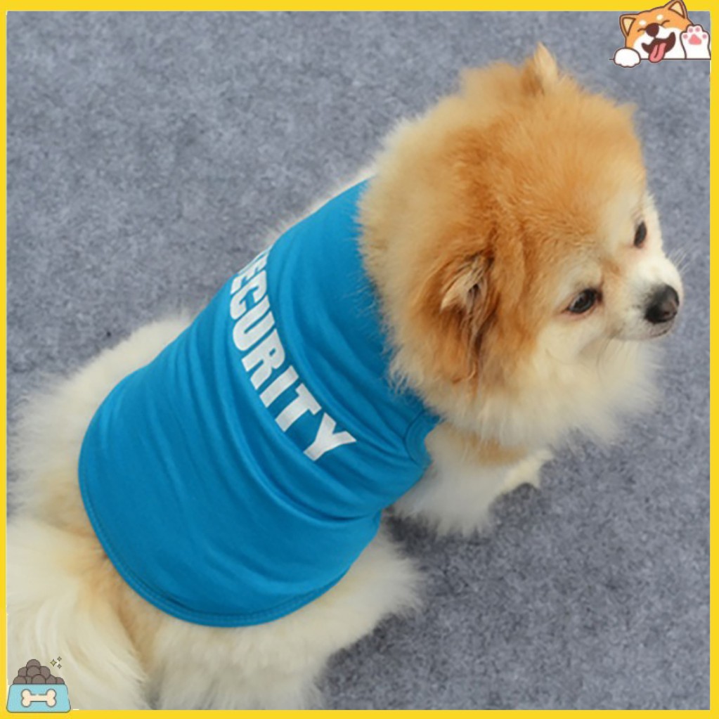 Áo Thun In Chữ Dành Cho Cún Cưng