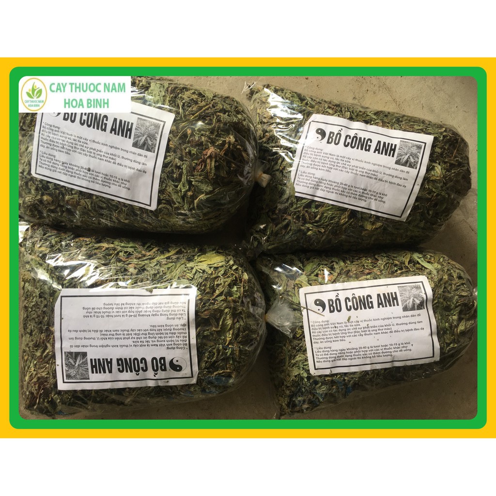[Mã 267FMCGSALE giảm 8% đơn 500K] [GIÁ BÁN BUÔN] 1KG LÁ BỒ CÔNG ANH HÒA BÌNH [KHÔ, XANH, SẠCH, THƠM] | BigBuy360 - bigbuy360.vn