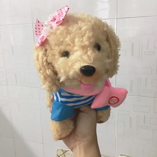 Chó biết đi biết hát