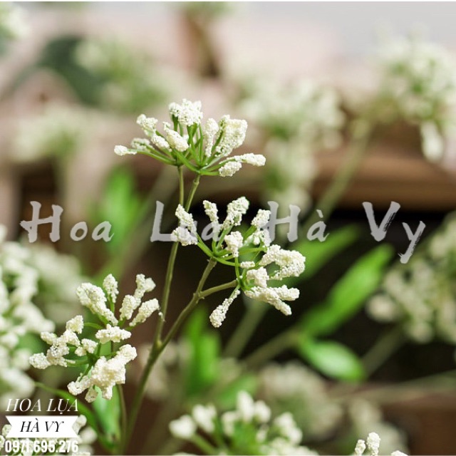 Hoa lụa | HOA TAM GIÁC MẠCH NEW