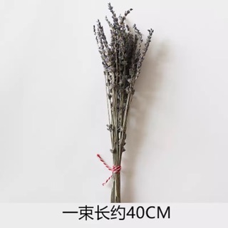 Lọ hoa và hoa khô decor