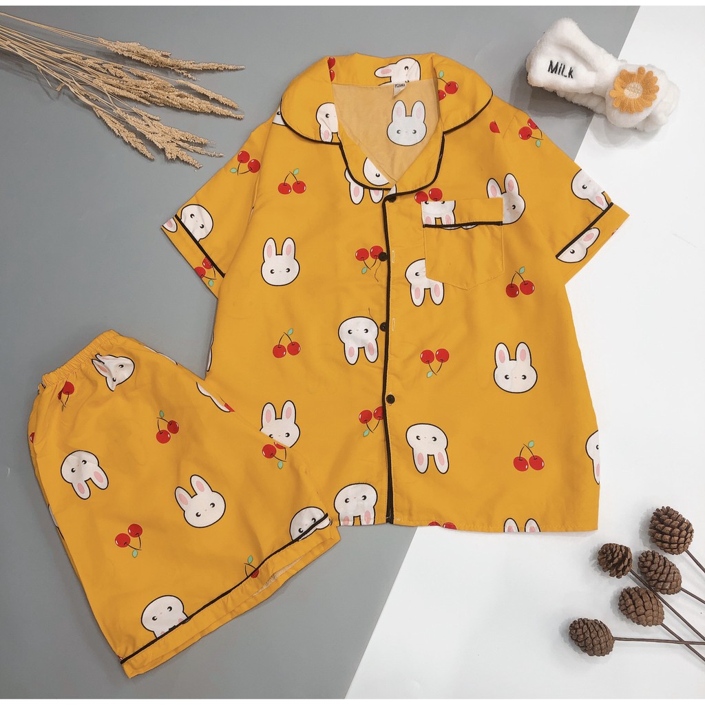 Bộ ngủ pigiama siêu cute | BigBuy360 - bigbuy360.vn