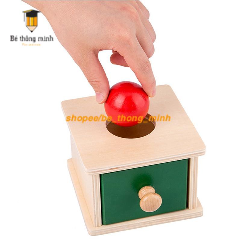 Bộ thả bóng thả đĩa xu - Giáo cụ Montessori 0 - 3 tuổi