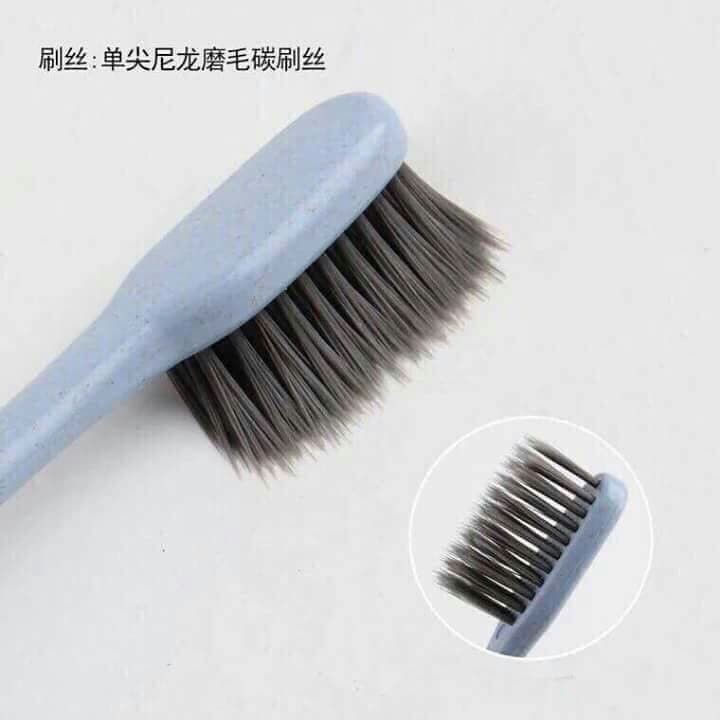 Set 4 chiếc bàn chải đánh răng bằng nhựa lúa mạch kèm vỉ đựng