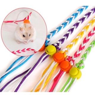 Dây dắt Thỏ, chuột Hamster, bọ ú, nhím, sóc đi dạo chơi 1.4m