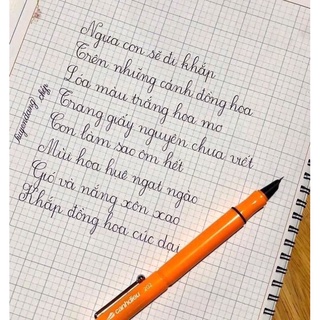 Bút cánh diều 202