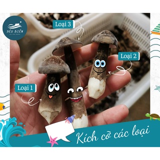 Nấm Mối Đen Yêu Biển Loại 2