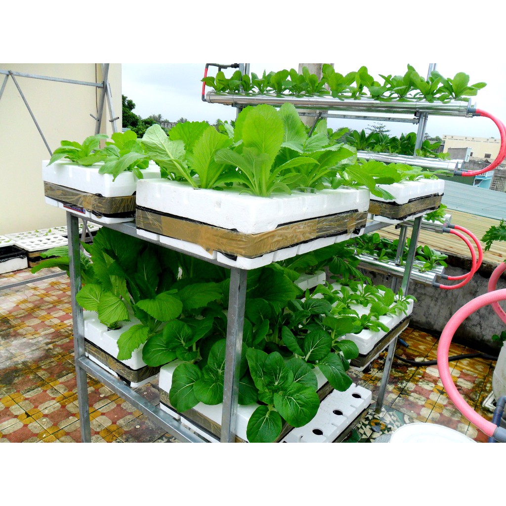 1kg Bột pha Dung dịch dinh dưỡng thủy canh HydroUmat  | Thủy Canh Cần Thơ