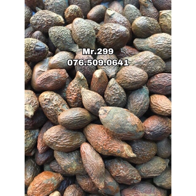 Hạt đười ươi loại nở lớn hàng loại 1 phân gói