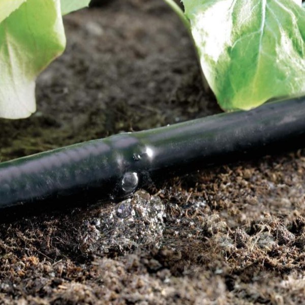 Ống tưới thấm  LDPE 6mm, dài 15m - Claber Italy
