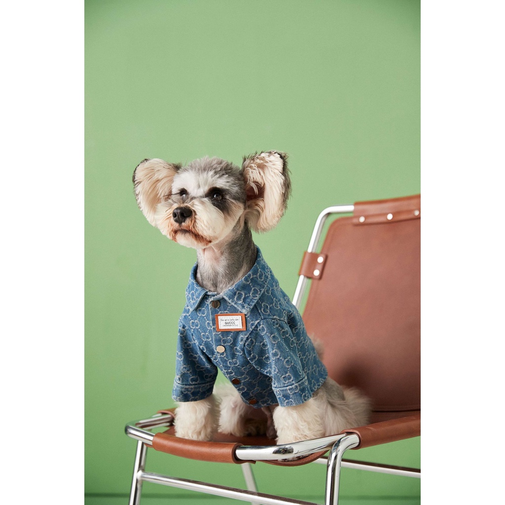 Áo Khoác Denim Thời Trang Xuân Thu Dành Cho Cún Cưng