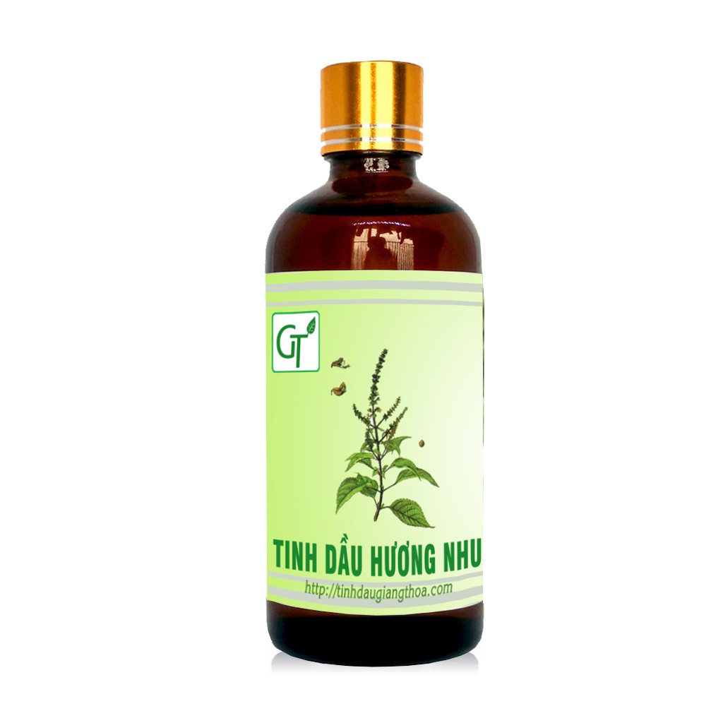 Tinh Dầu Hương Nhu 100ml - Hàng Cao Cấp Dưỡng Tóc, Giảm Rụng Tóc, Xông Hơi, Xông Hương