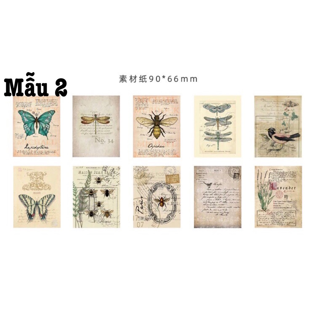 Giấy họa tiết mini trang trí Scrapbook, album, thiệp (6cm x 9cm)... - Set 10 tờ