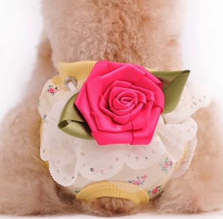 Cute physiological diapers for pets