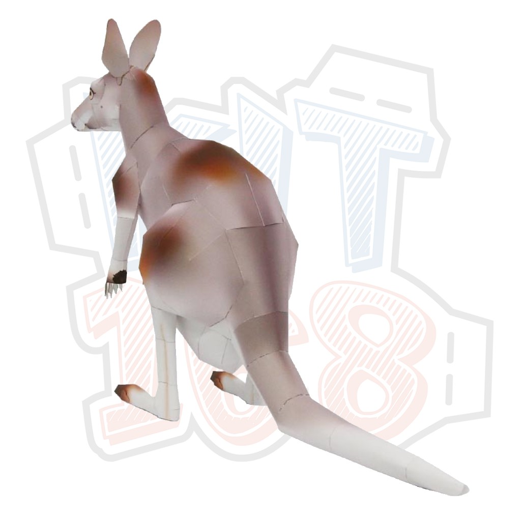 Mô hình giấy động vật Chuột túi Kangaroo