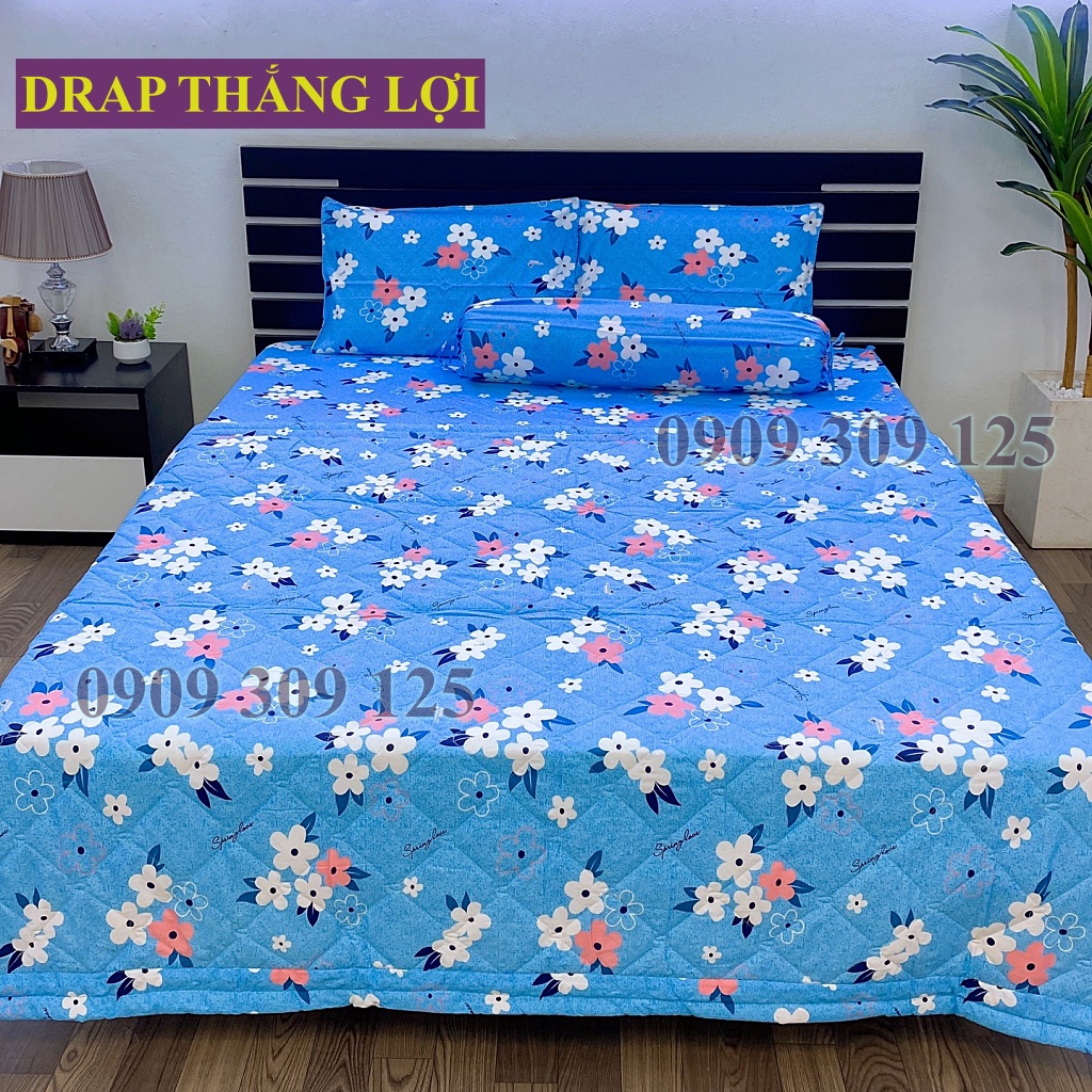 (ảnh thật) Drap cotton Thắng Lợi, ga giường cao cấp thoáng mát mẫu HOA MAI XANH
