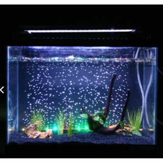 Đèn LED sủi bọt khí cho bể cá 100cm