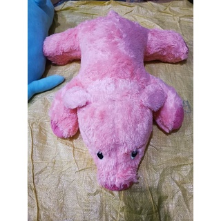 Gối ôm Ngẫu nhiên 80cm