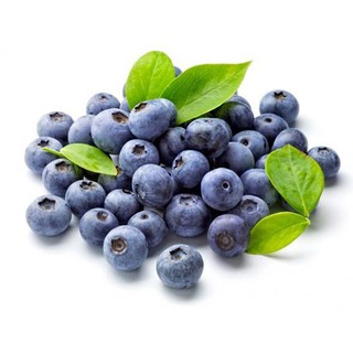 Hạt giống quả Việt quất - Rau củ quả trồng tại vườn, sân thượng, nông trang, ban công