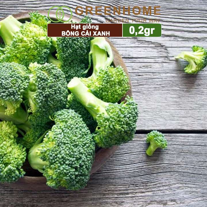 Hạt giống Súp lơ xanh Greenhome, gói 0,2gr, bông cải xanh, dinh dưỡng, dễ trồng T10